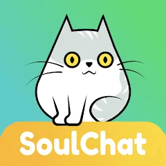 سول شات/ SoulChat